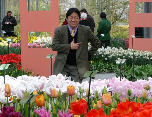 2011庫根賀夫鬱金香花展